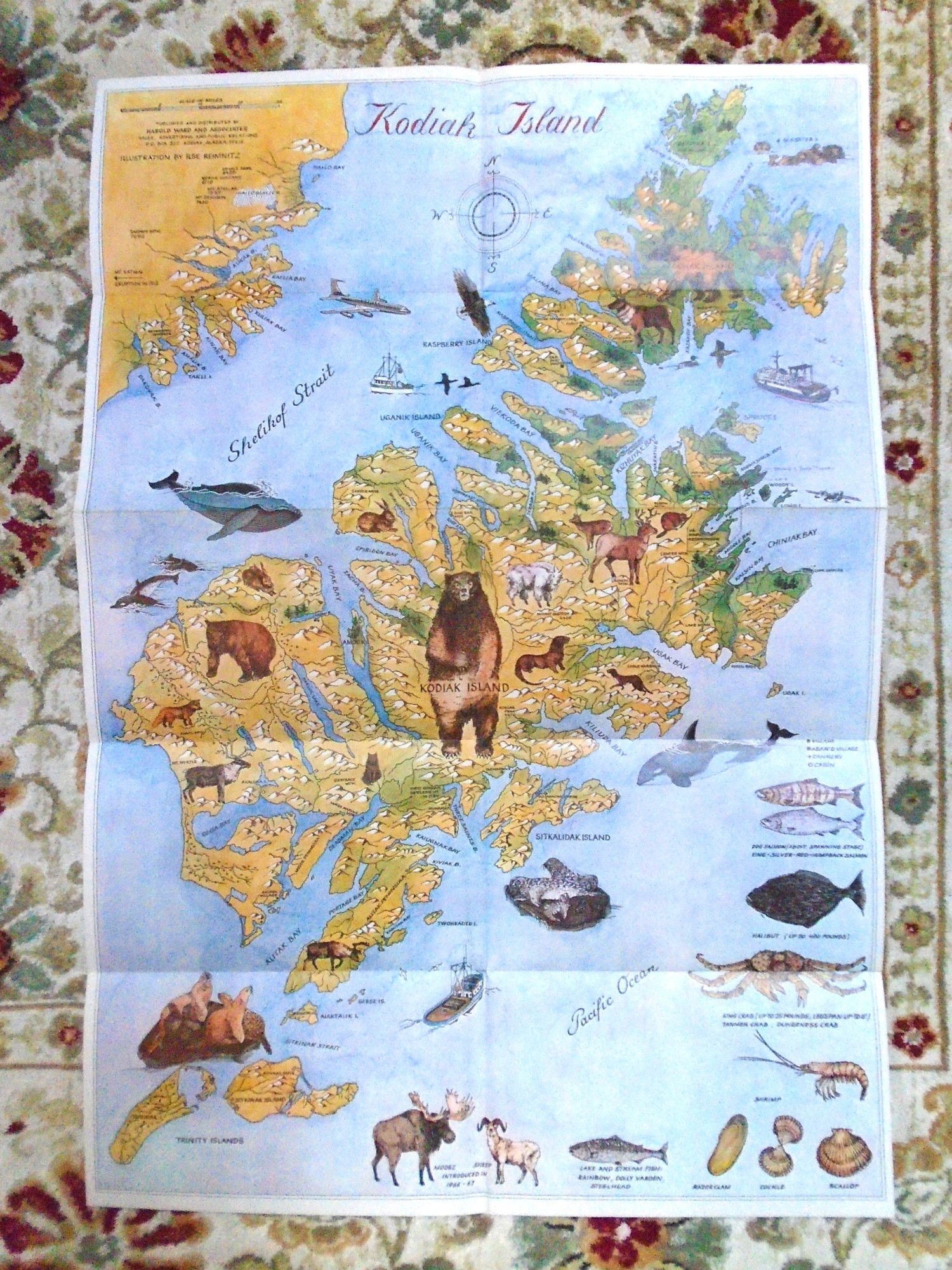 PICTORIAL MAP OF KODIAK ISLAND CARTOON MAP   054650 