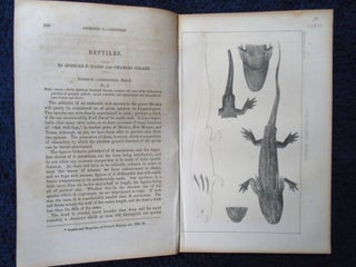Item #54877 REPTILES. APPENDIX C: STANSBURY REPORT: EXPLORATION AND SURVERY OF THE VALLEY OF THE...