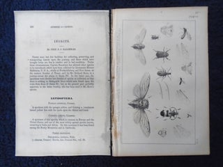 Item #54879 INSECTS. APPENDIX C: STANSBURY REPORT: EXPLORATION AND SURVERY OF THE VALLEY OF THE...
