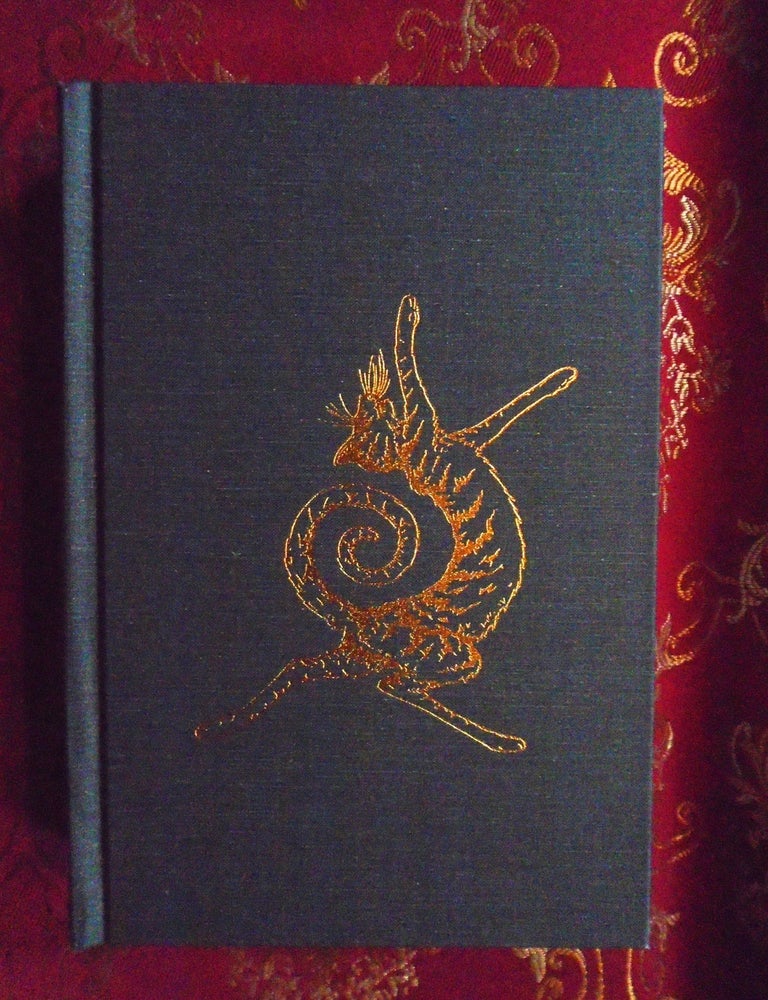 Item #55997 IMAGINATION FULLY DILATED. Alan M. Clark, Elizabeth Engstrom.