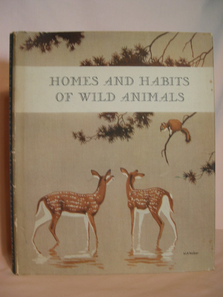 Item #47987 HOMES AND HABITS OF WILD ANIMALS: NORTH AMERICAN MAMMALS. Karl Patterson Schmidt.